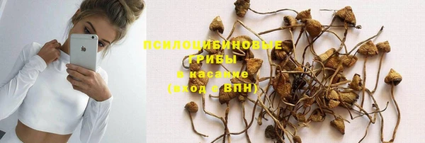 гашик Корсаков
