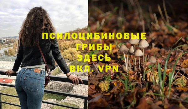 прущая мука Краснотурьинск