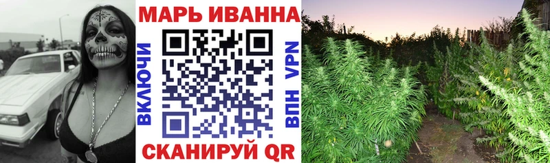 Канабис ГИДРОПОН  Купить  Баксан 
